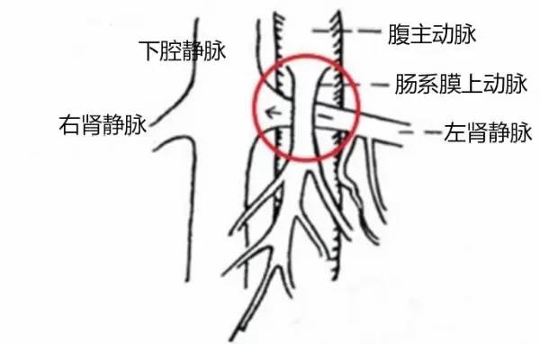 第四軍醫(yī)大學(xué)精彩分享個(gè)性化醫(yī)療3D打印的實(shí)戰(zhàn)案例與研究成果 第四軍醫(yī)大學(xué)精彩分享個(gè)性化醫(yī)療3D打印的實(shí)戰(zhàn)案例與研究成果